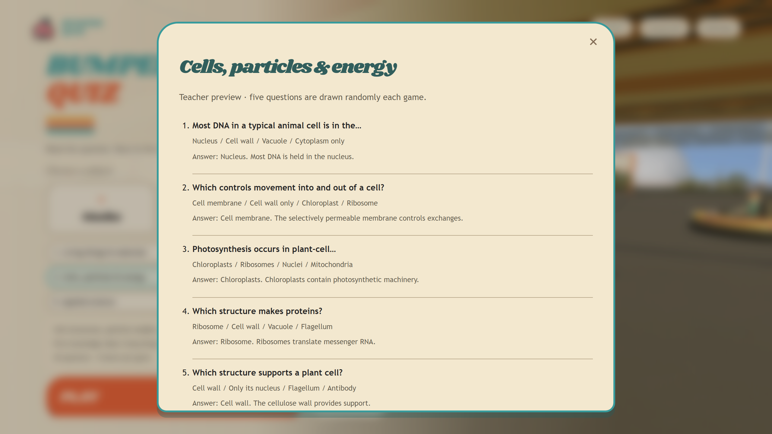 Bumper Quiz image 3