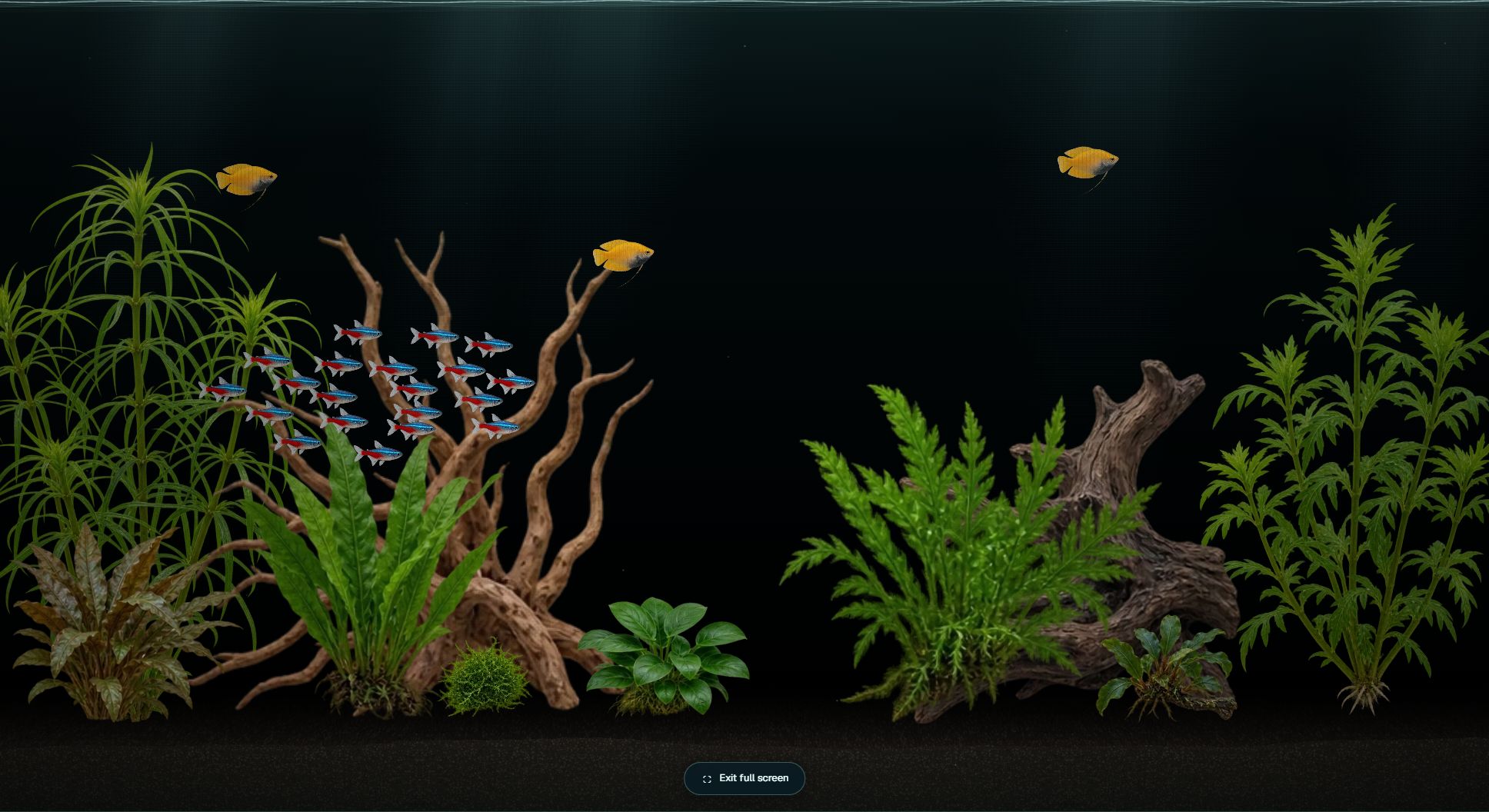 Aquarisim image 3