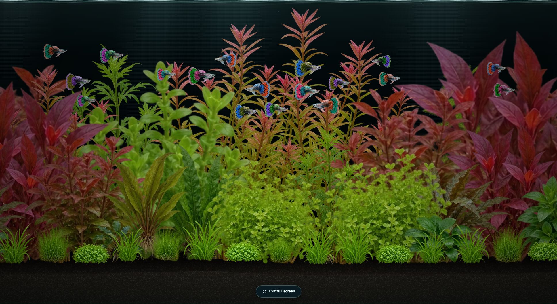 Aquarisim image 1