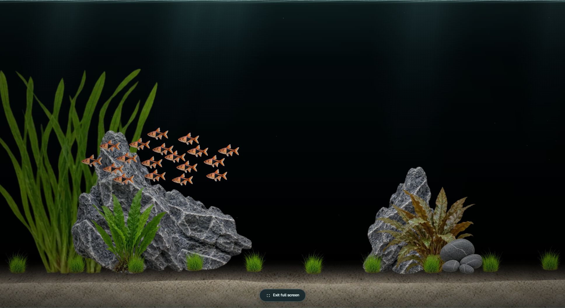 Aquarisim image 2