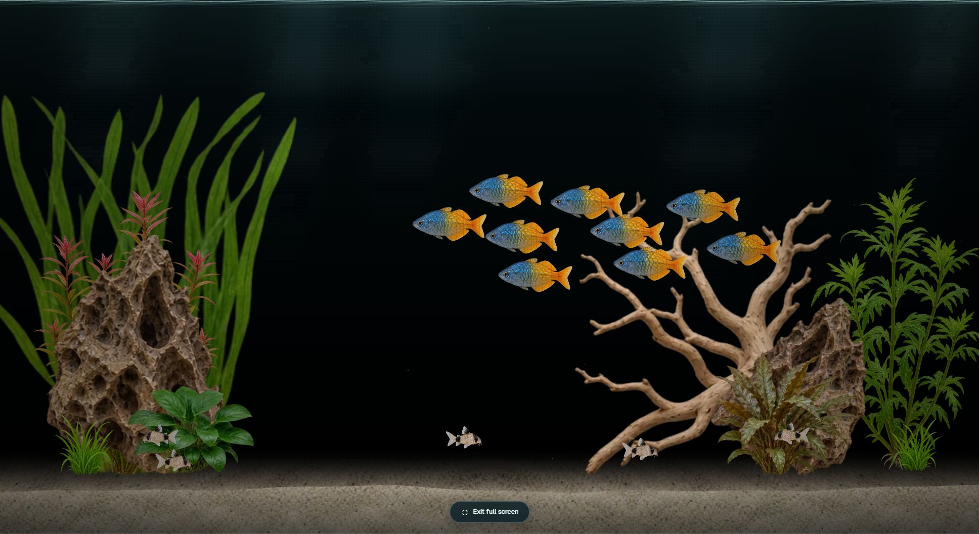 Aquarisim image 5